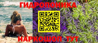 ALPHA PVP Кунгур