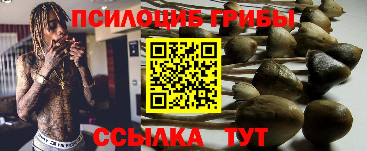 как найти   Псилоцибиновые грибы ЛСД  Вход с VPN  Лысьва 